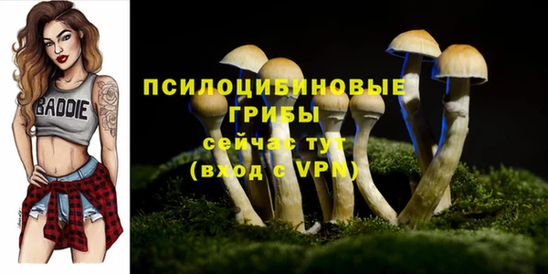 мет Бородино