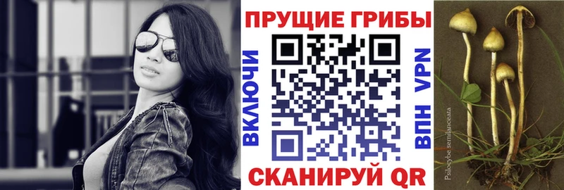 Псилоцибиновые грибы MAGIC MUSHROOMS  Екатеринбург 